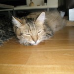 juno8-27-10-08