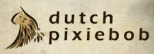 dutchpixiebob_banner1 Banner 1