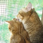 Juno and Maik