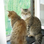 Juno and Maik