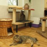 Skåthi, Makene and Monty